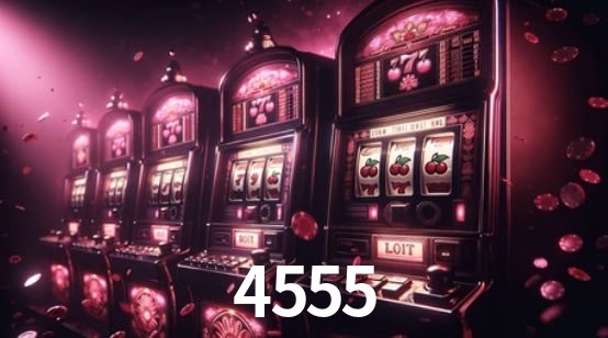 Interface Premium 4555